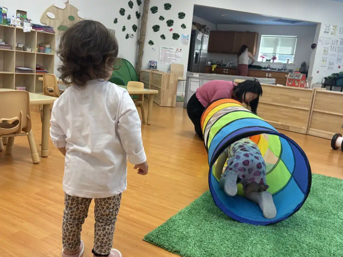 toddlers playing on rocking toys outside with teacher at daycare in albany ca